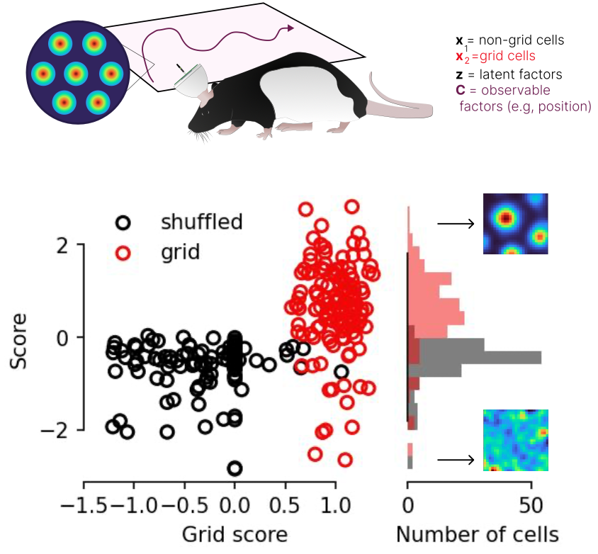 Time-series attribution maps